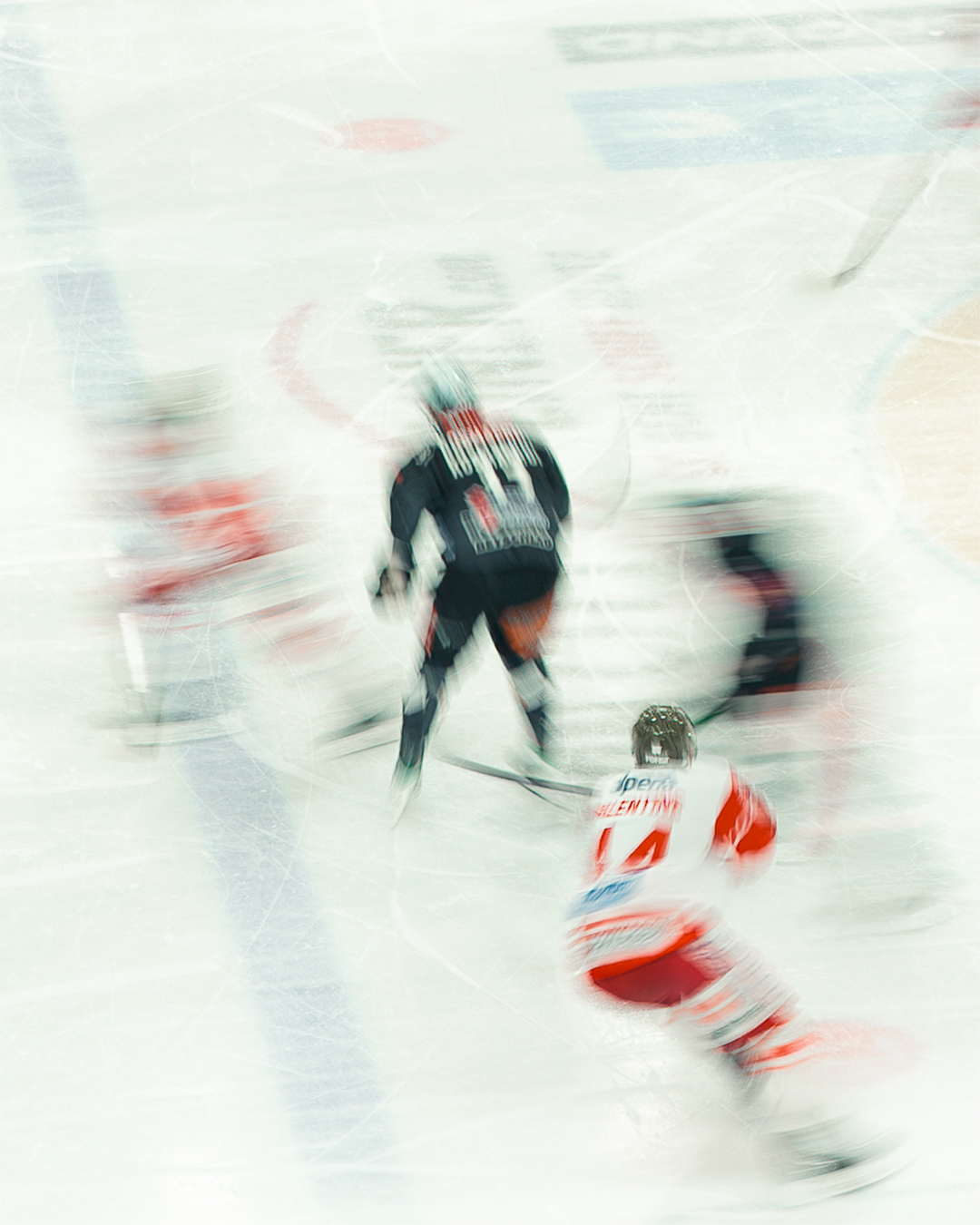Vienna Capitals 02
