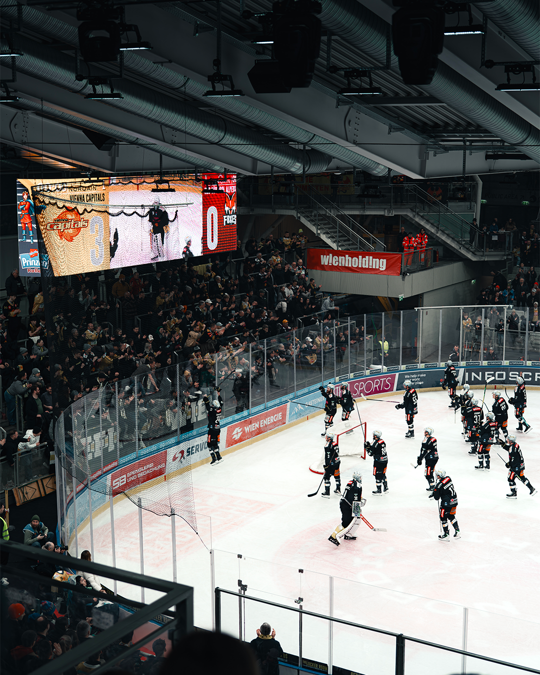 Vienna Capitals 05