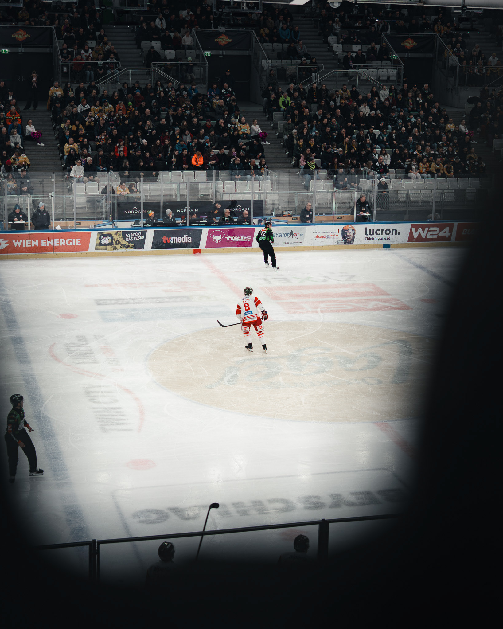 Vienna Capitals 12
