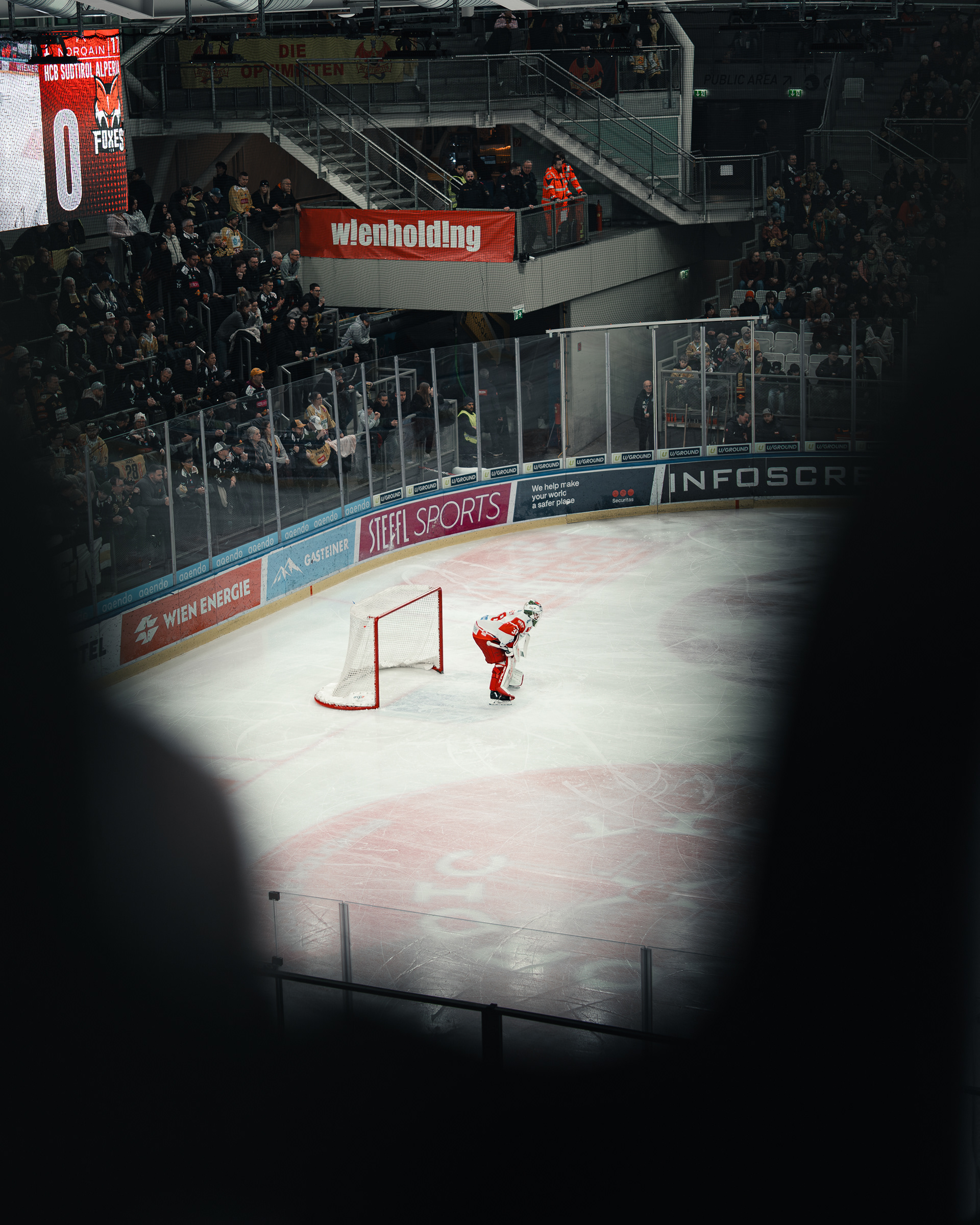 Vienna Capitals 12
