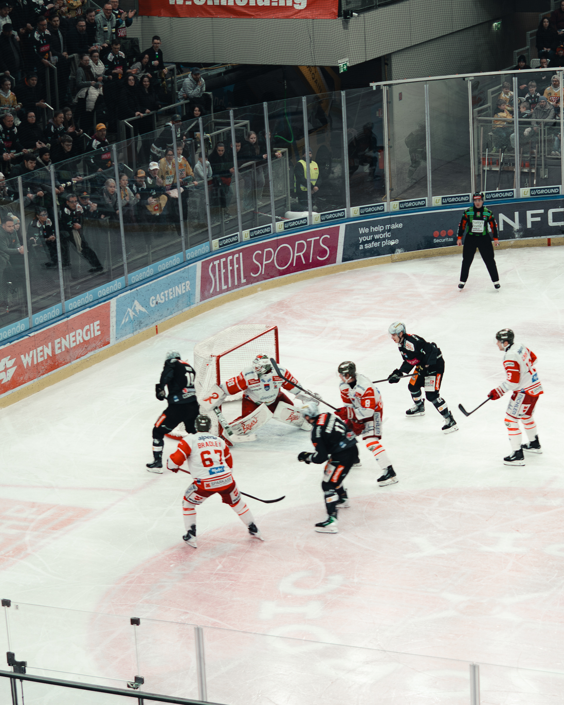 Vienna Capitals 12