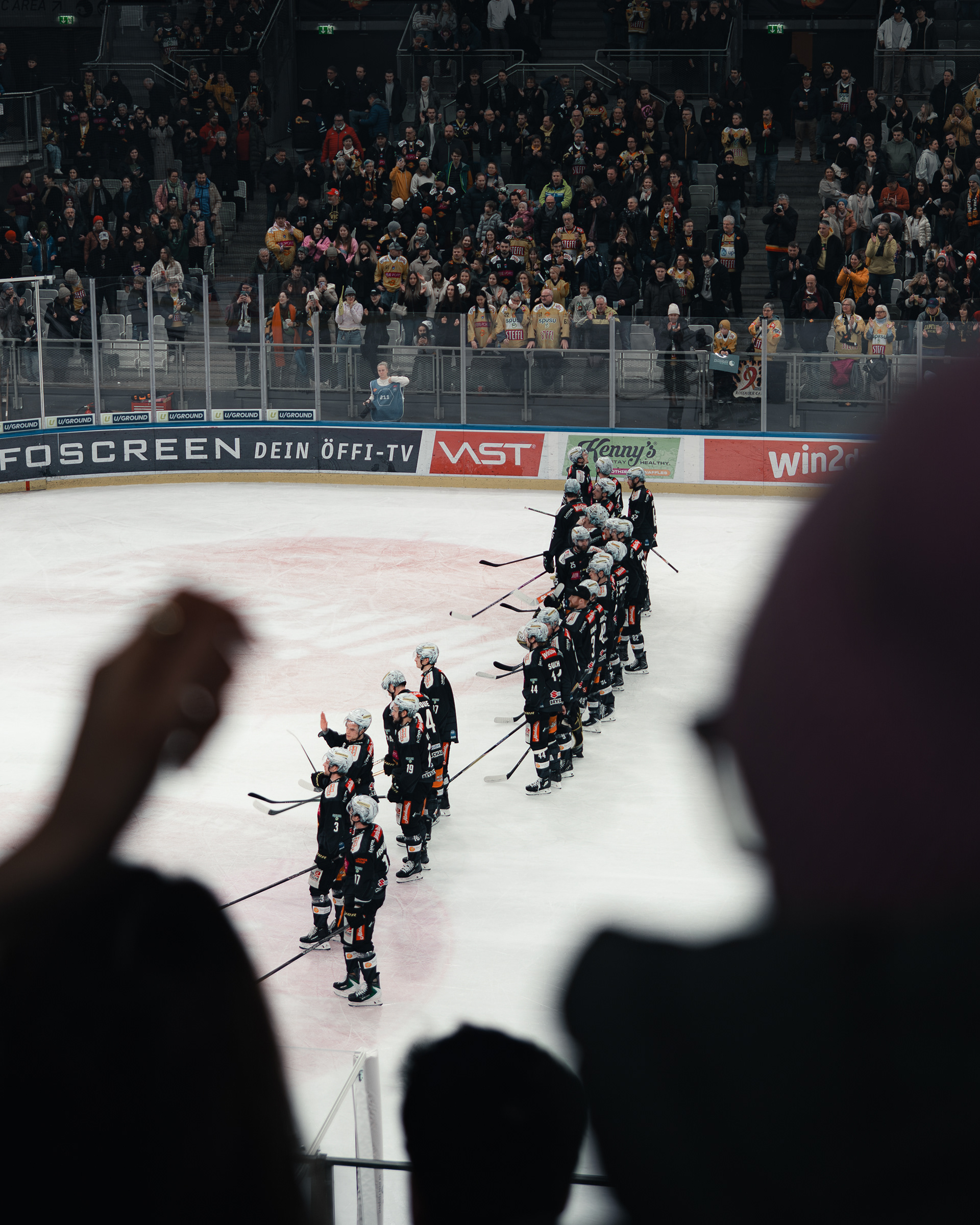Vienna Capitals 12