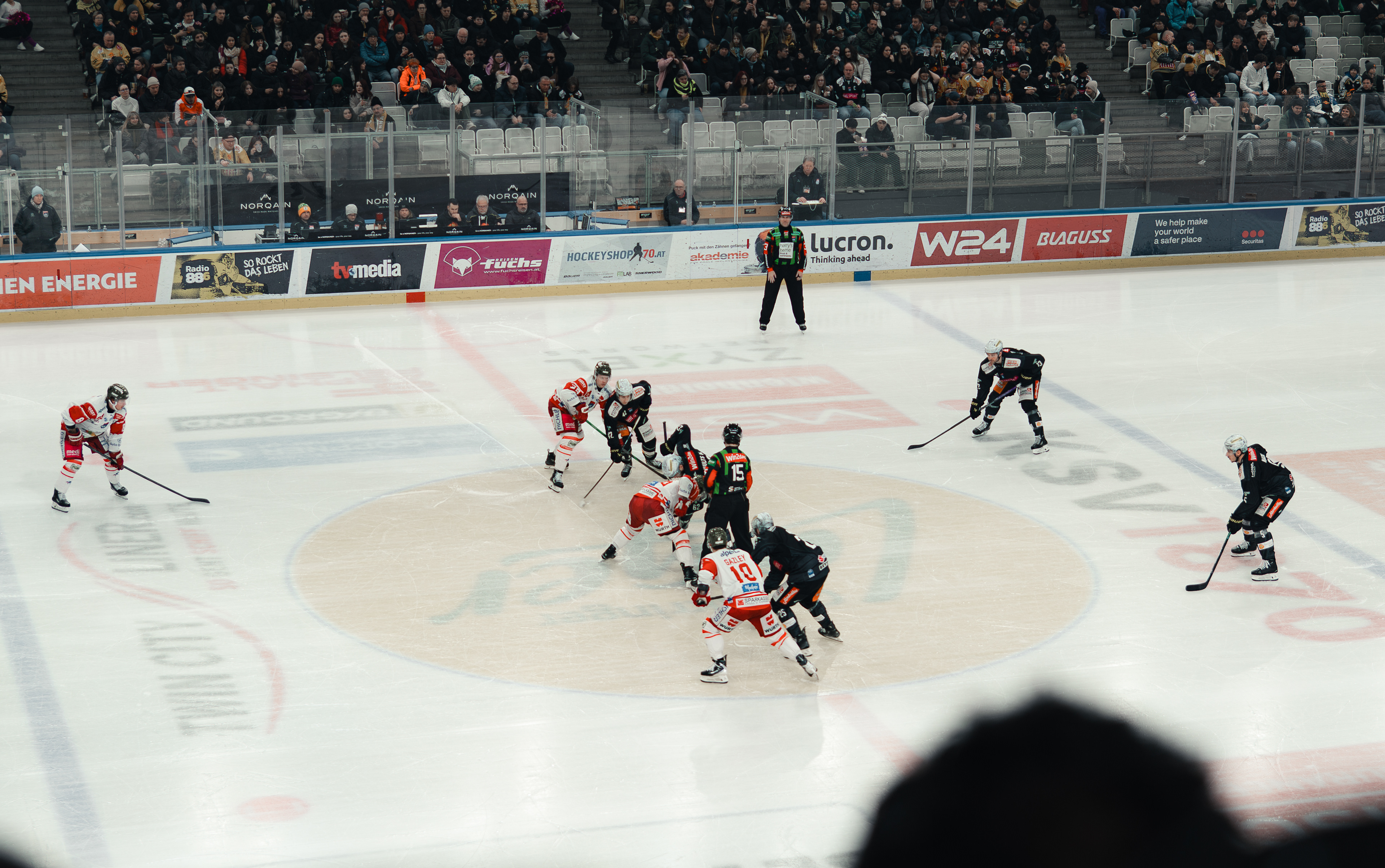 Vienna Capitals 12